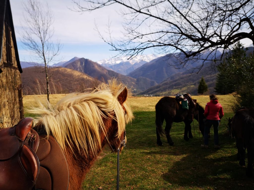 GR78 - 5 jours à Cheval sur La Voie du Piémont Pyrénéen