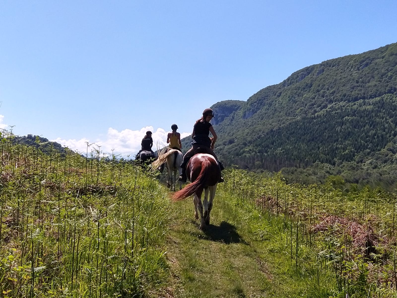 Balades et séjours équestres à la ferme