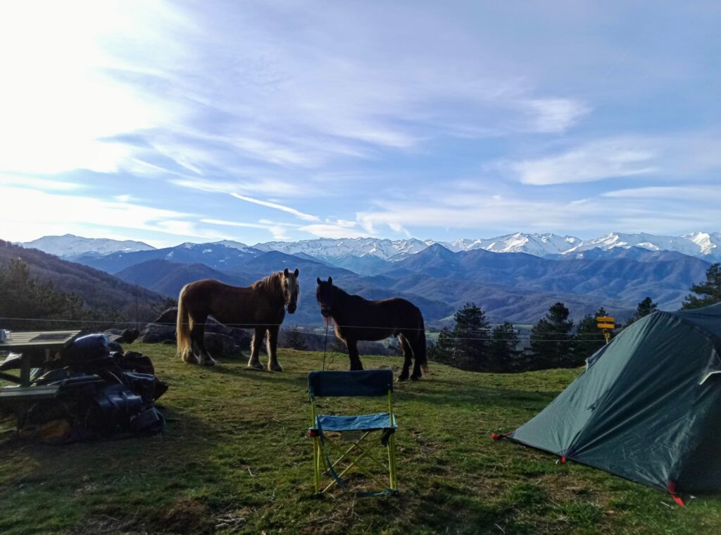 Randonnée à cheval
"Bébé Bivouac"