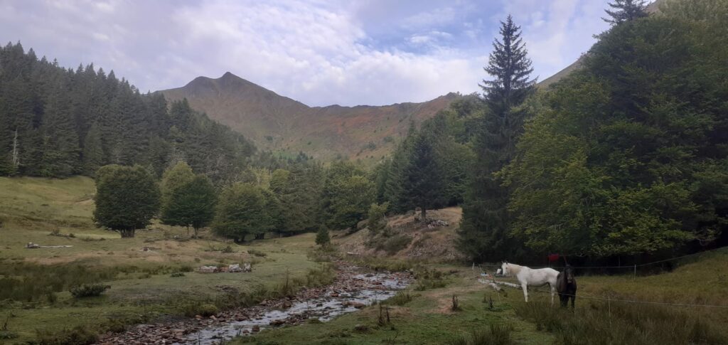 Randonnée à cheval
"Le brame du cerf à la Chapelle de l’Isard"