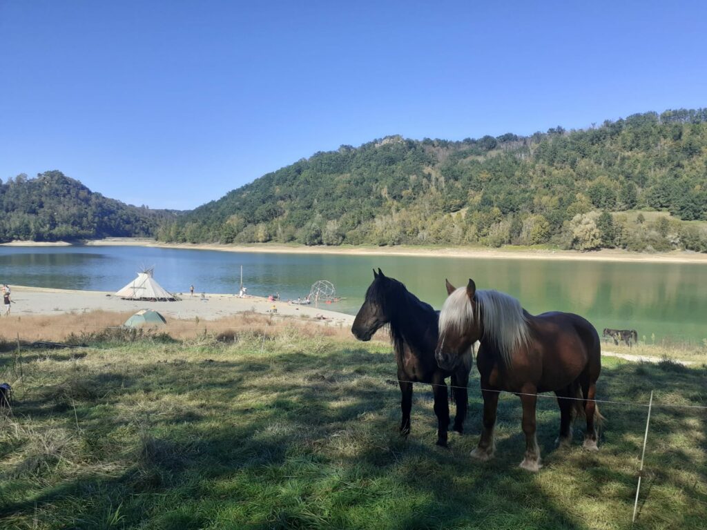 Randonnée à cheval
"Baignade au lac de Mondély", spéciale estivale