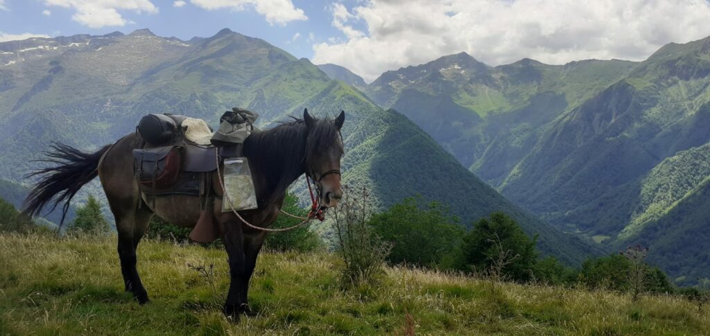 Randonnée à cheval
"Les cabanes du plateau d’Agéou"