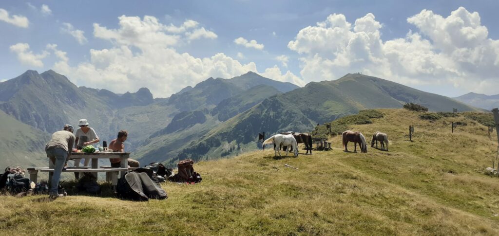 Randonnée à cheval
"Les cabanes du plateau d’Agéou"