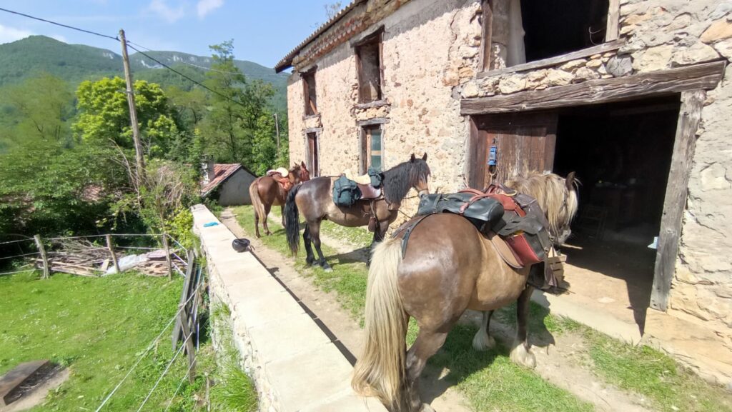 Bienvenue à la ferme équestre