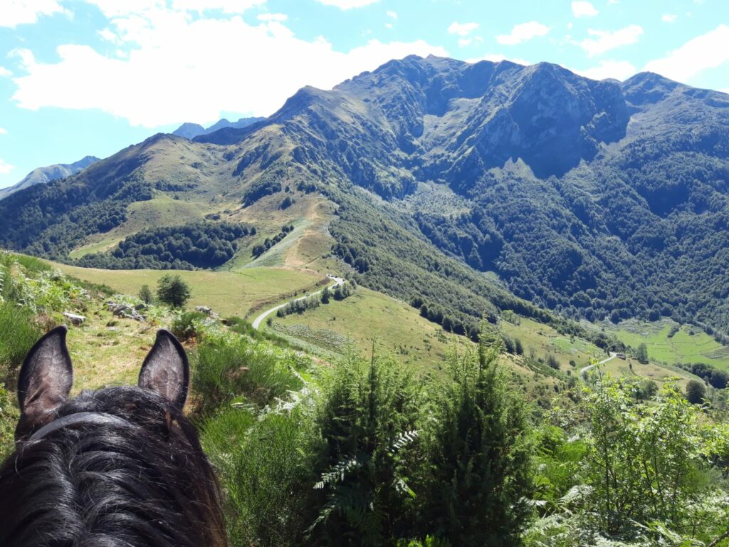 Bienvenu.e.s en Ariège !